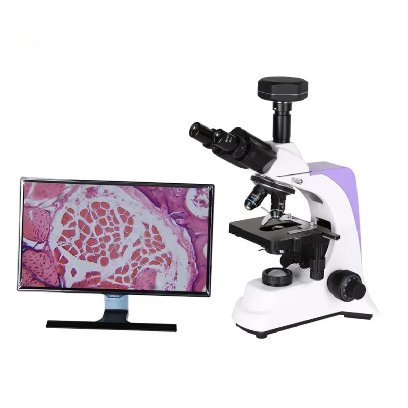 Medical Lab Microscope - Microscope biologique numérique de laboratoire médical