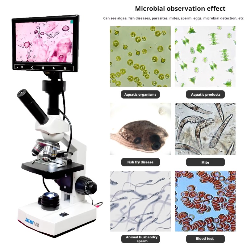 Microscope numérique à écran H - Medical Lab Microscope avis et prix