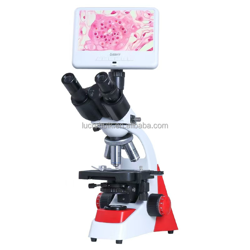 Microscope binoculaire profess - Medical Lab Microscope avis et prix