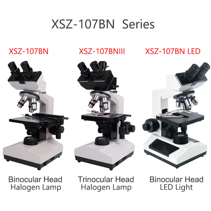 Microscope biologique binocula - Medical Lab Microscope avis et prix