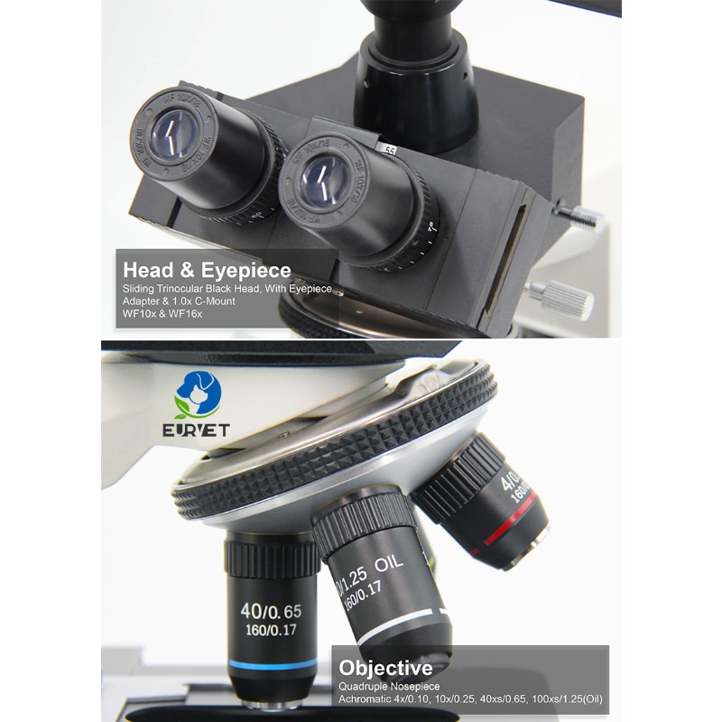 Microscope biologique numériqu - Medical Lab Microscope avis et prix