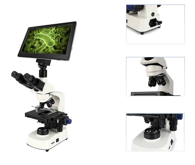 Microscope binoculaire électri - Medical Lab Microscope avis et prix