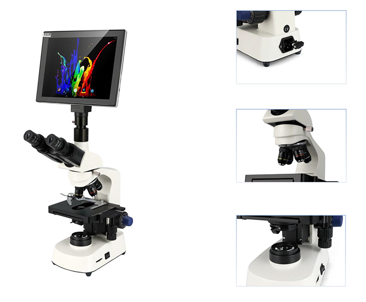 Microscope binoculaire électri - Medical Lab Microscope avis et prix